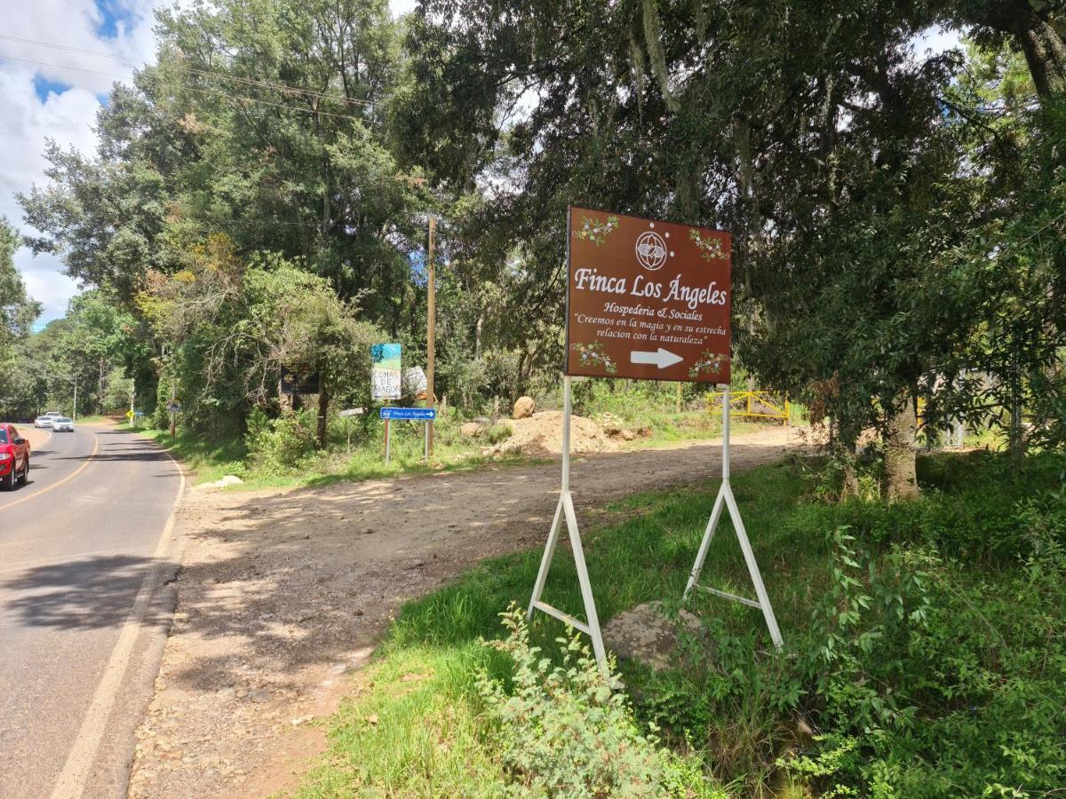 Finca Los Angeles Hospederia & Sociales Huasca de Ocampo Buitenkant foto